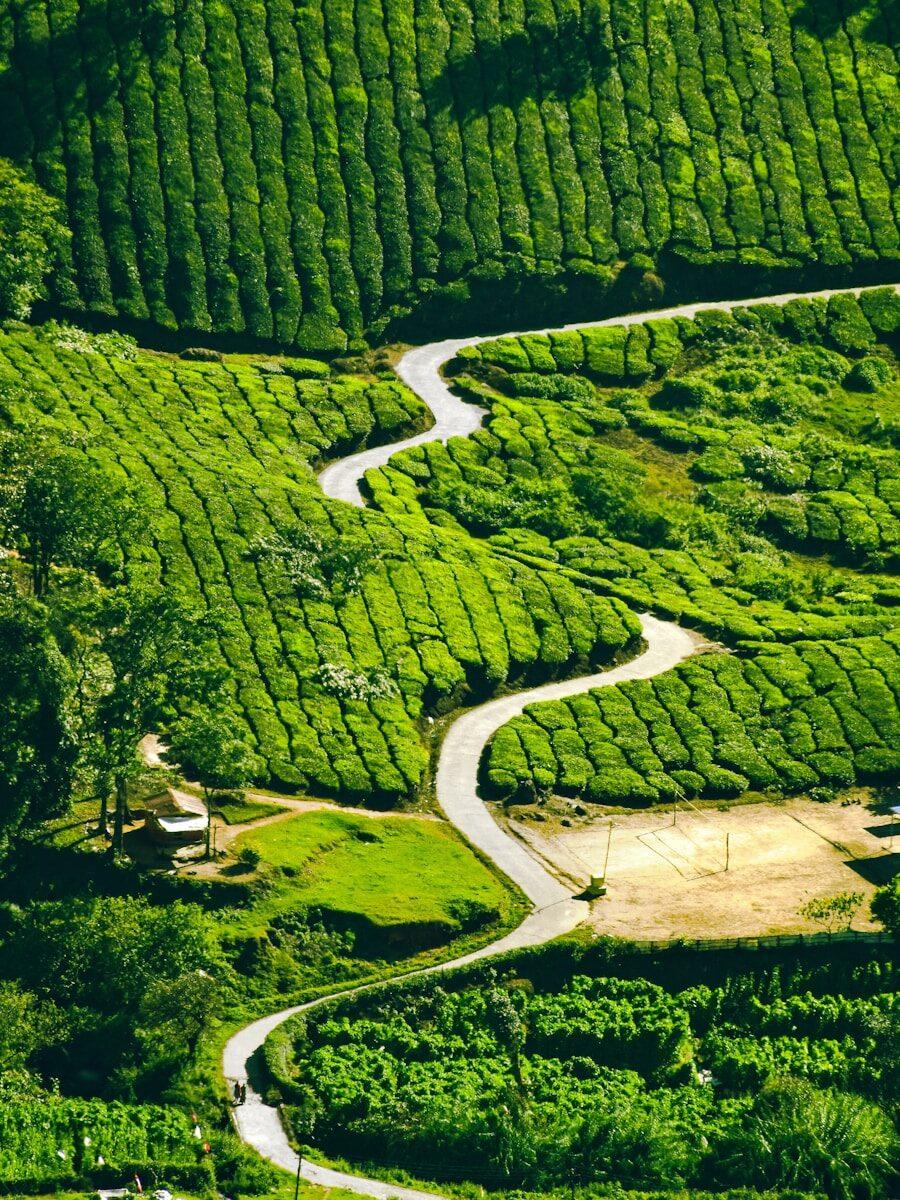green infrastrucutre in india